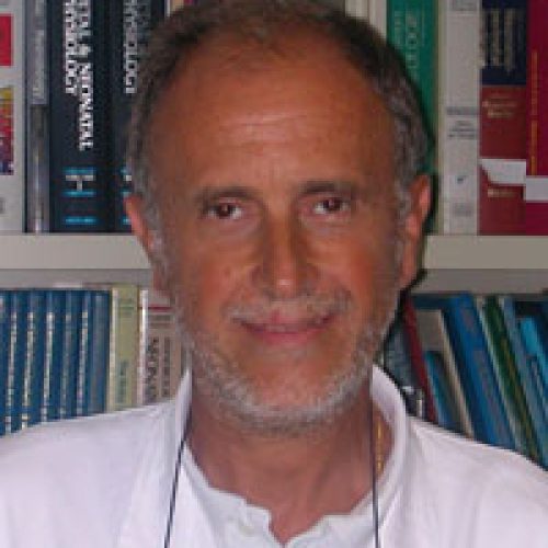 Enrico Bertino